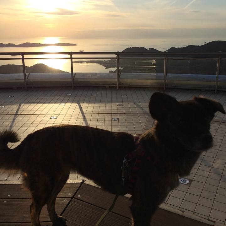 F334cbd0 0dda 4b49 8061 0e615c844855