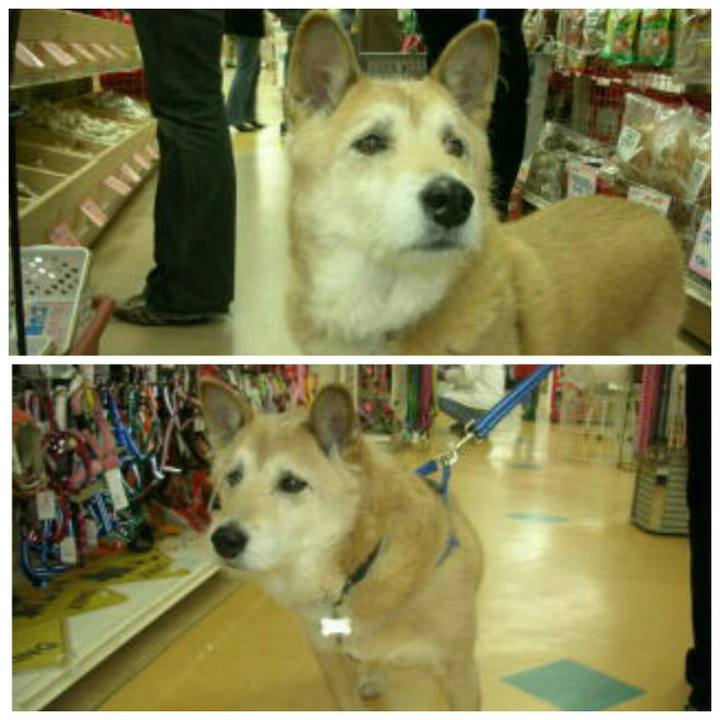 F334cde3 e606 4d3b a12c 2b5e93e225c7