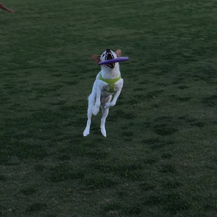 F3353edd f878 4e62 a63e eff881d7c026