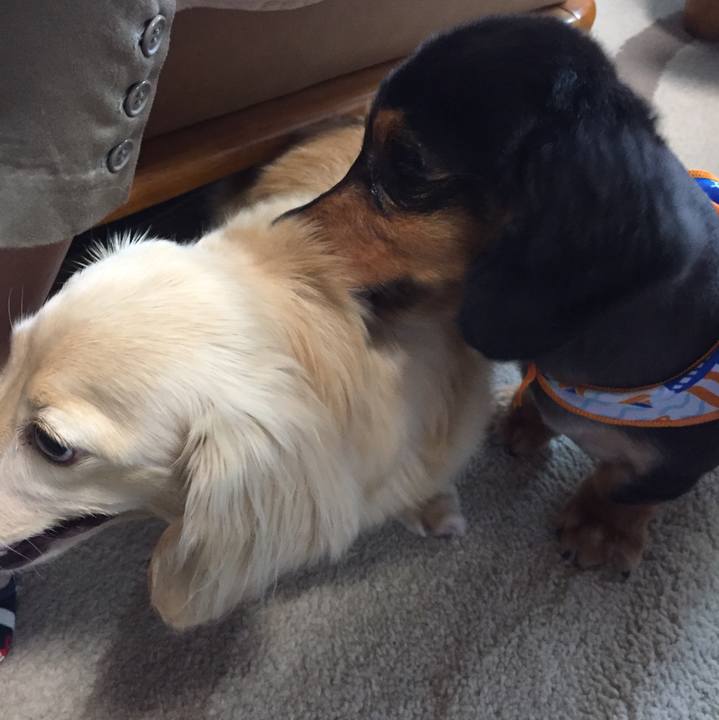 F335513c 766e 47d4 bc70 6d2216223de4