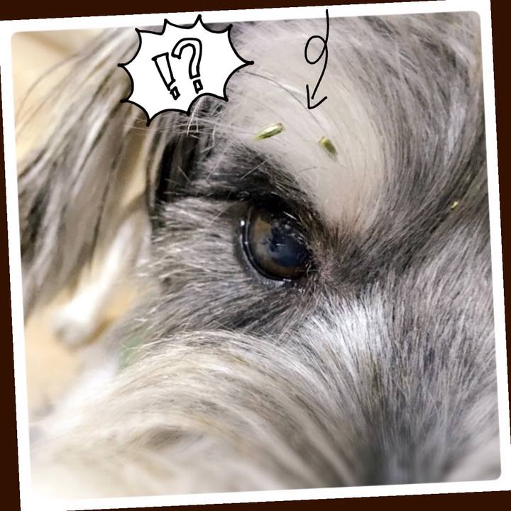 F335eaa8 10b0 476d 9af9 5823581a1600