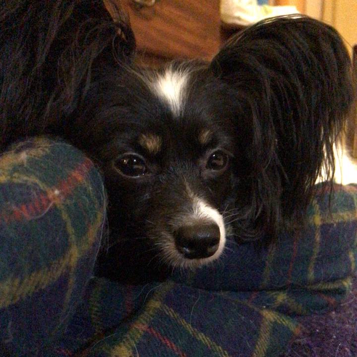 F335f233 e14b 4d36 be52 04e83371ca3c