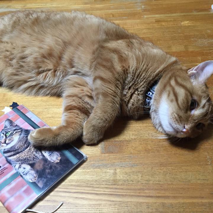 F335fdbc 94db 44e6 b274 dabb90256100