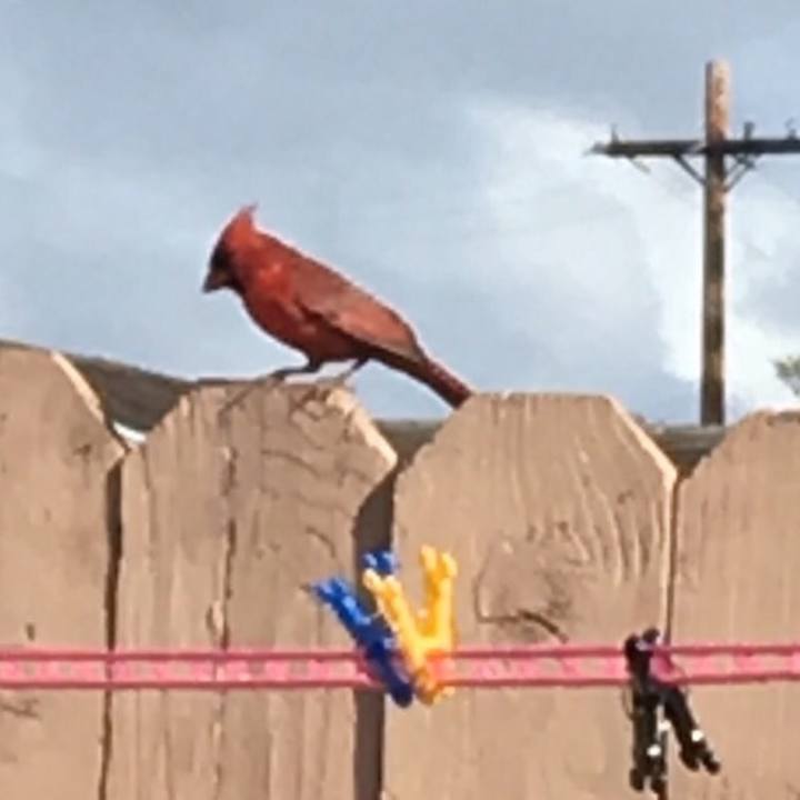 F3365ecc 15aa 4edf 880e 151d260bb7f7