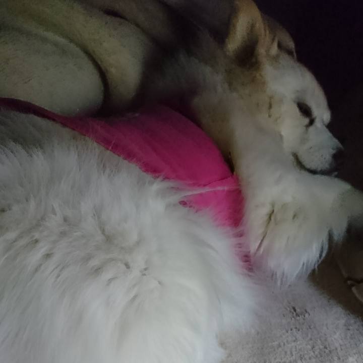 F336af22 a8f3 4ab5 a047 175861e87511