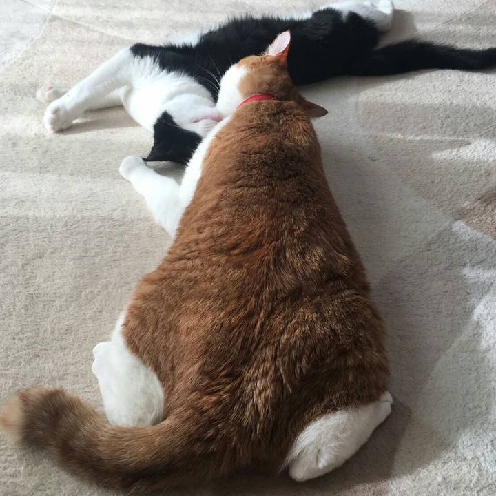 F336e604 8717 40c6 aef3 450ee6059510