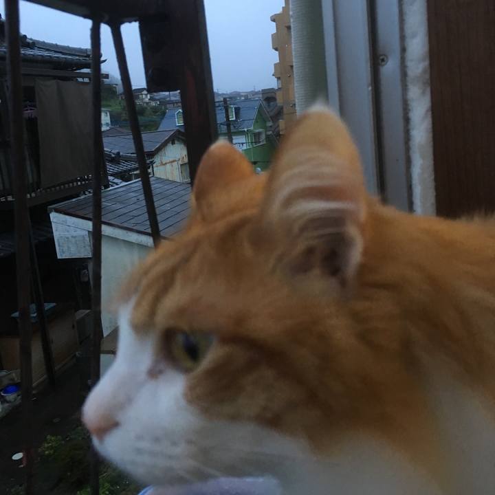 F337aead f8c7 4a4c 9fe9 192884b3d5eb