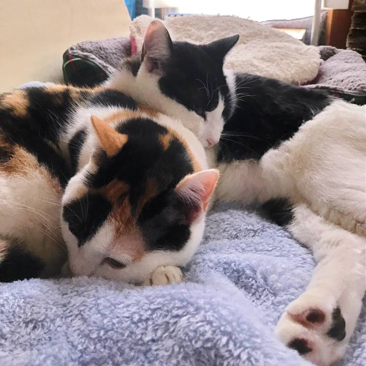 F33832a6 9444 446d b54f 97de97294bb7