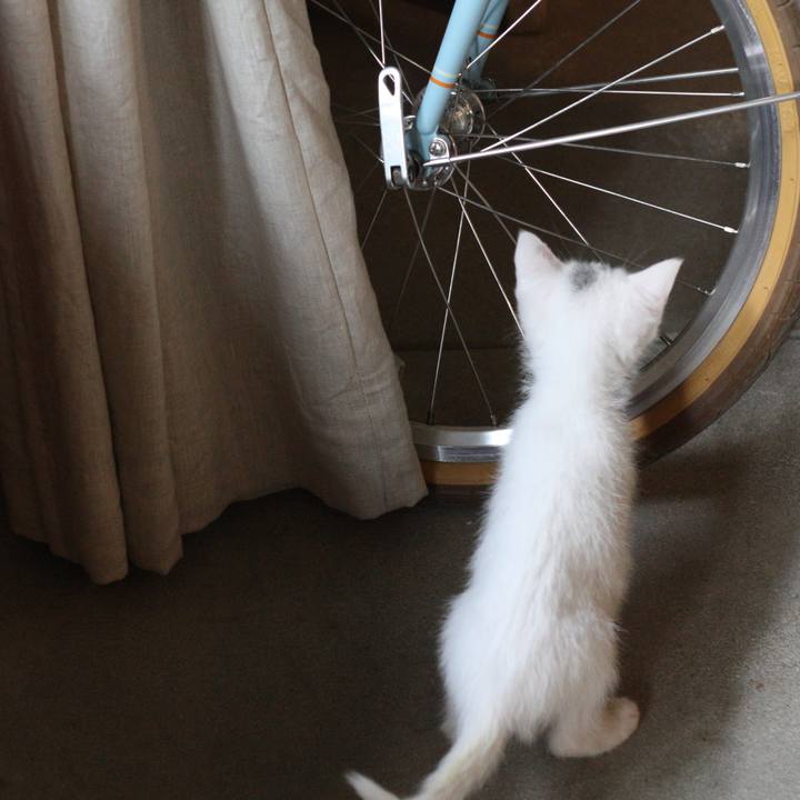 F3389369 0c2f 4488 b727 db1c00e85e08