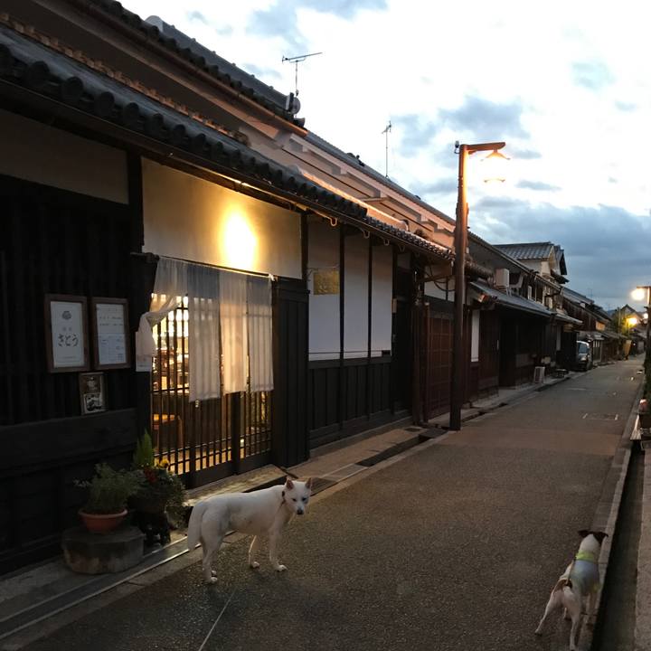 F338a7bb 1341 4ffb 8df4 cb66f4ec4f8b