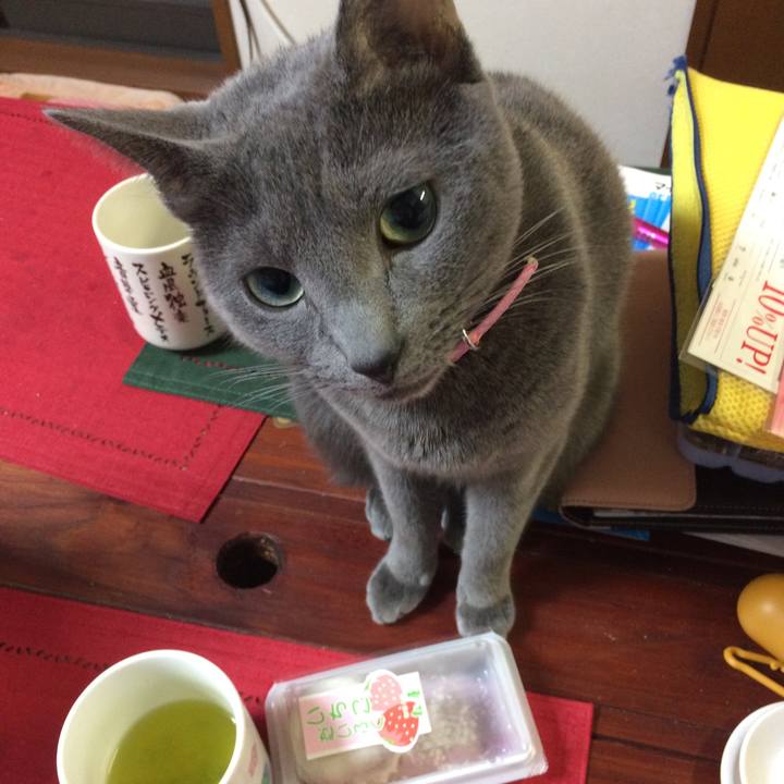 F338c8d7 c15c 4a77 b406 dabd9ec43676