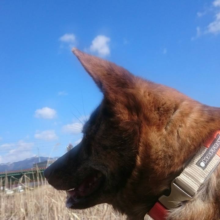 F338e826 e3b7 465a 9522 a37eb0e6d447