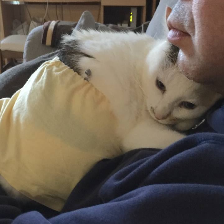 F339f64c 2d22 4ed0 8a7d ba7fd9b218ef