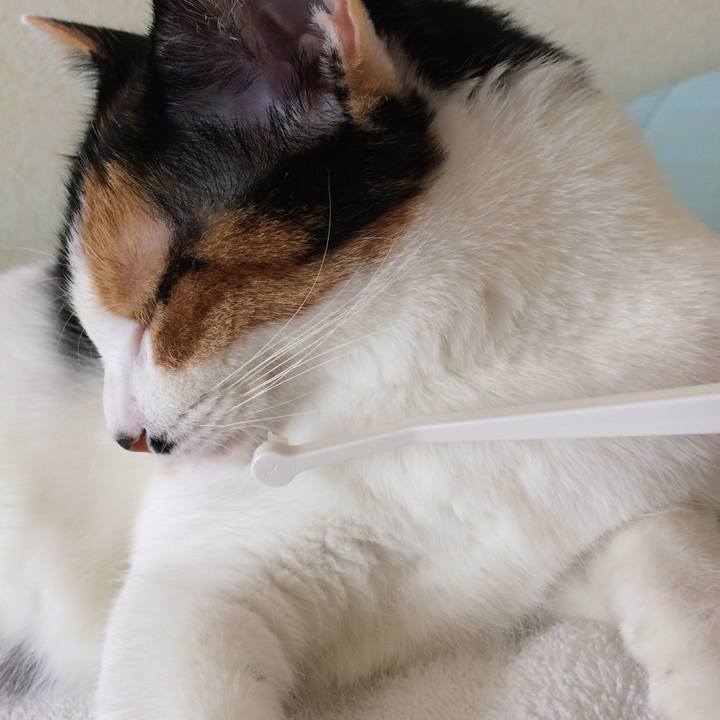 F33afad2 350c 4fba 8d62 d16451334e3e