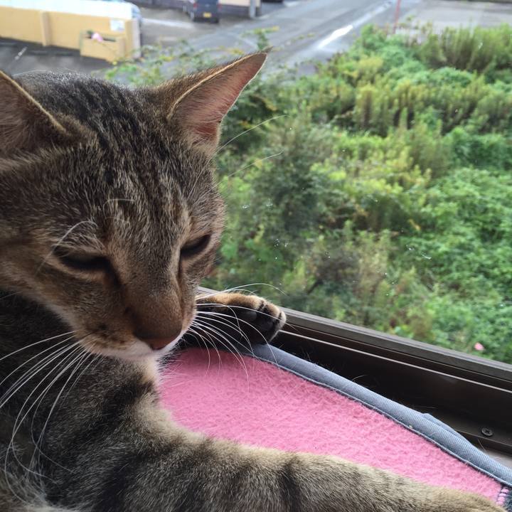 F33c0e64 59c4 44f1 8602 5806be735b88