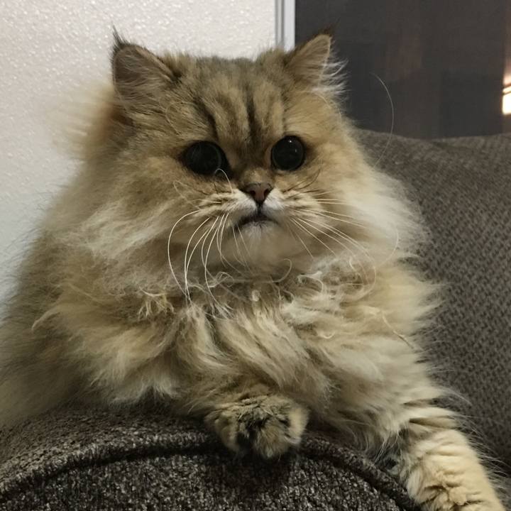 F33cb70c ebb4 4271 ad20 36e4c45df156