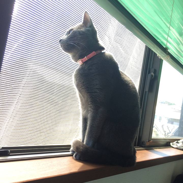 F33d0b0f c5ed 4bf4 93f7 7c3a69d307f2