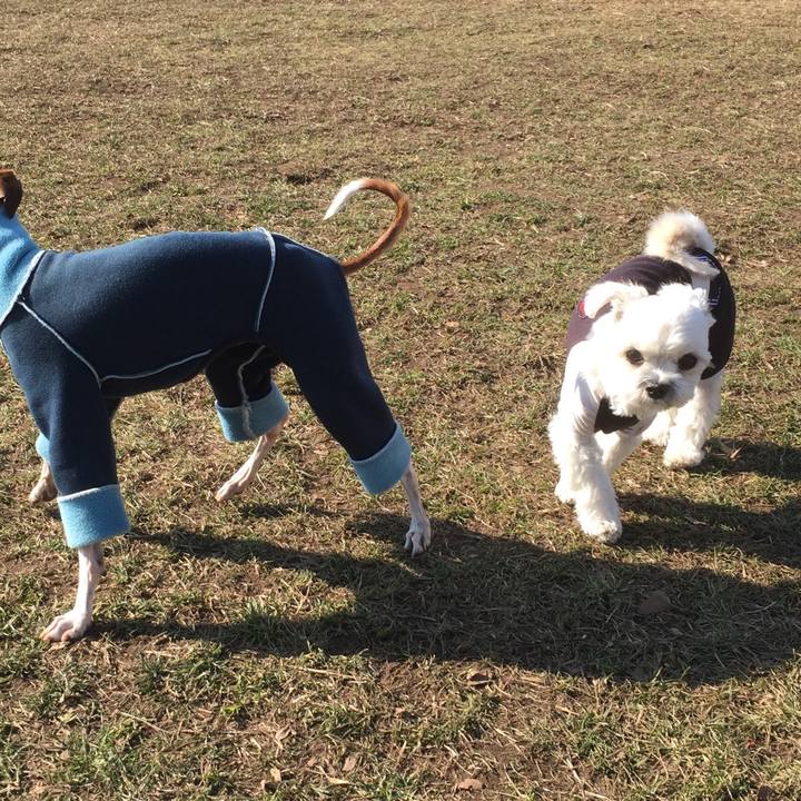 F33d2b96 c8b5 4bbd 9abe 6b5105221b23