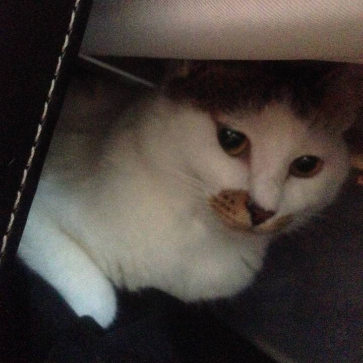 F33d6ce6 d7d7 4ee6 891e fef6e3434f30