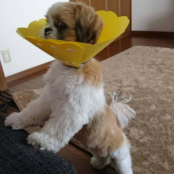 F33d79a8 8946 4bd8 825b 922b3fffaffa