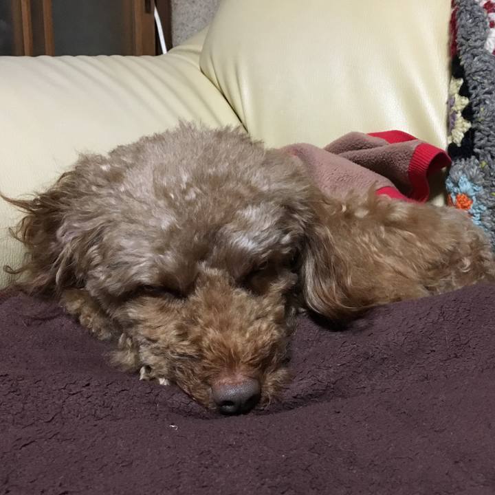 F33d7ab0 b518 40ee b372 fa3c4f73ea74