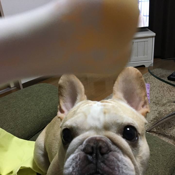 F33e33ba 8ed8 4a9a a262 21cc419cdf9b