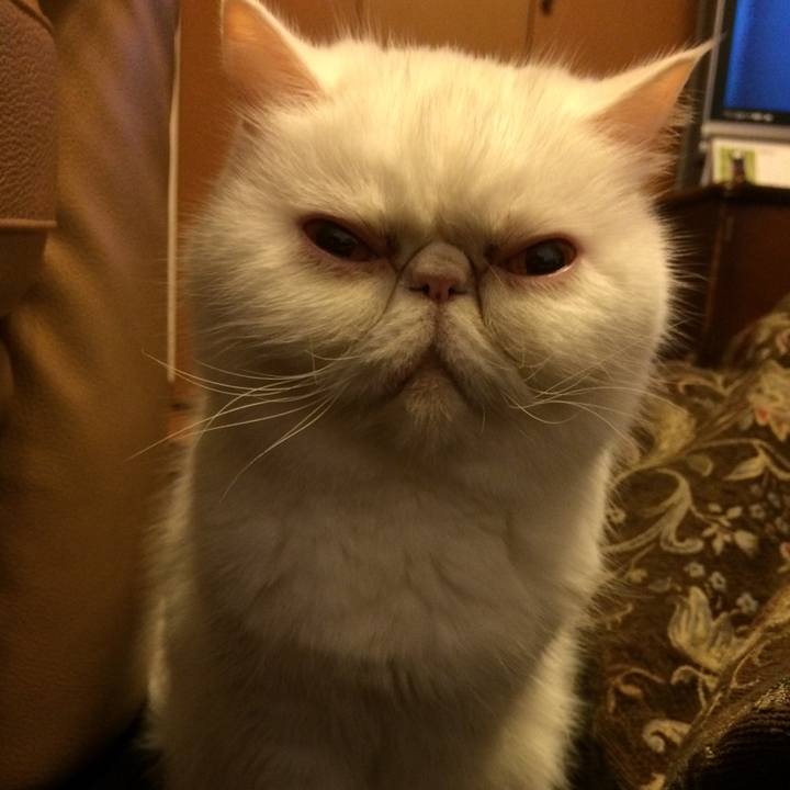 F33e423a da1b 4b0d bfc0 ab1daf19410b