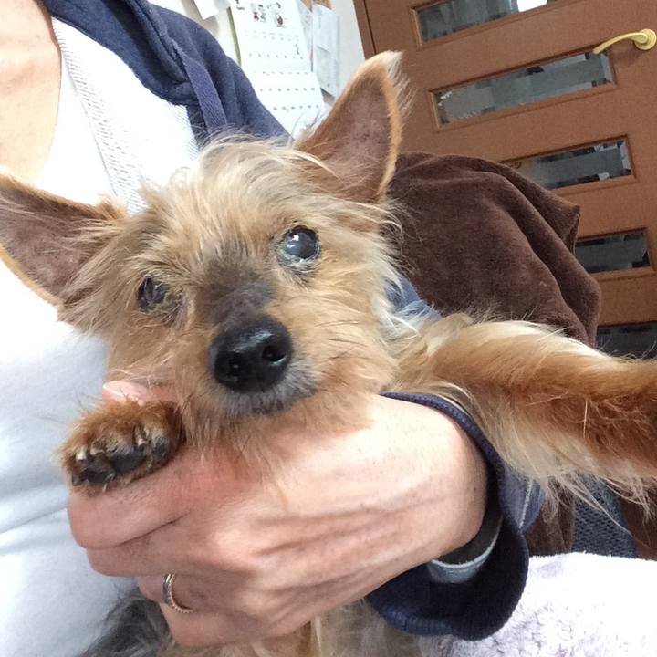 F33eee10 ec70 44e5 ab13 193eec32e298