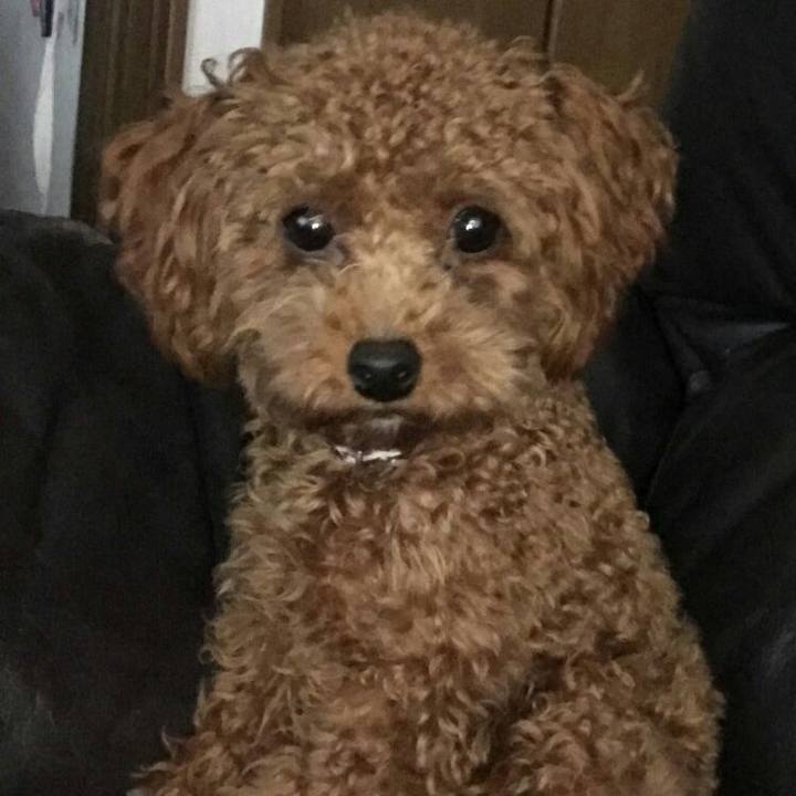 F33f3399 8c73 483e b0a6 25f5db2a7763