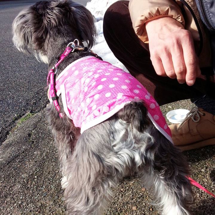 F33fda17 7ff2 4663 834e 32780810f2e1