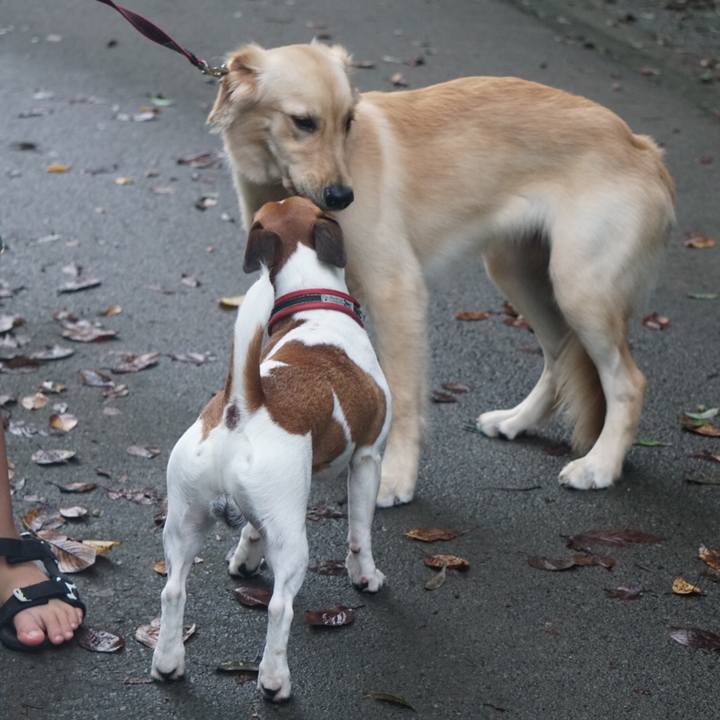 F3400fde 1e5a 43c4 b213 437d517ef1e6