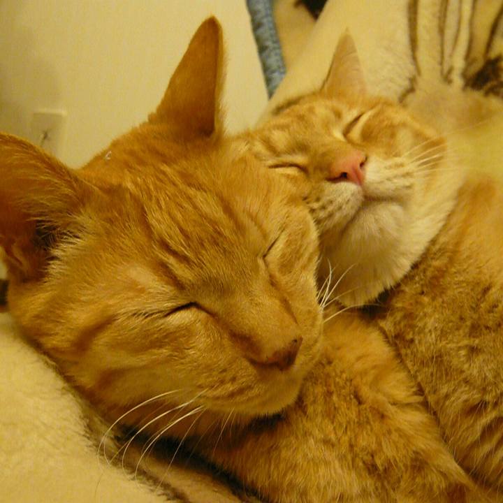 F3401e64 f158 4389 8cbc fc3ef092a908