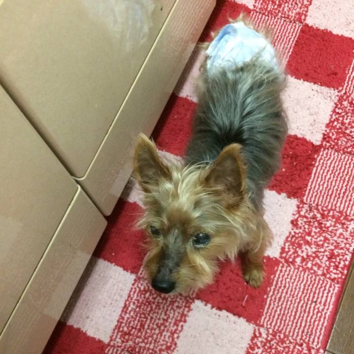 F3406add ef5f 4478 9765 caba6a8656b3