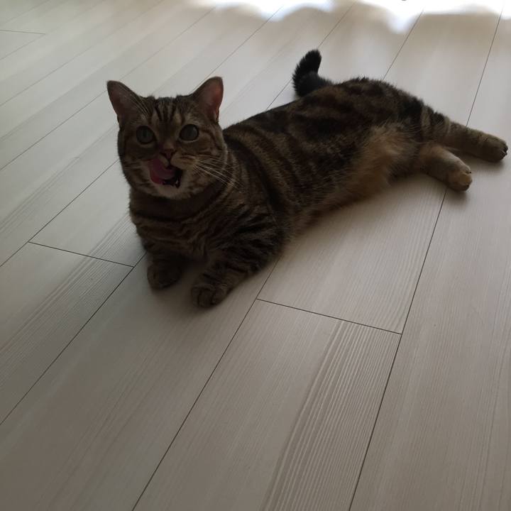 F34087aa b8c7 47ae b00f d36ef95715cb