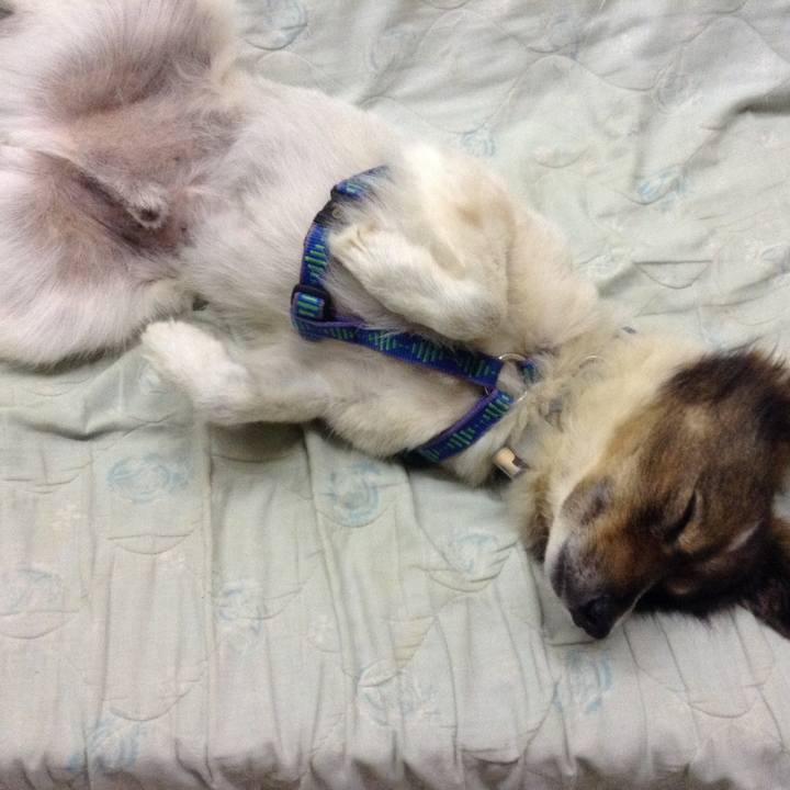 F340bc97 3e76 47df b085 7a9a10fb7ebf