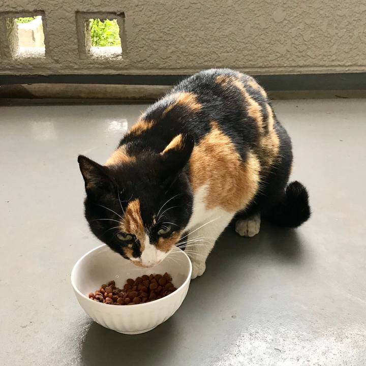 F340d8bc 2208 4617 bbd6 1dd4ba50a443