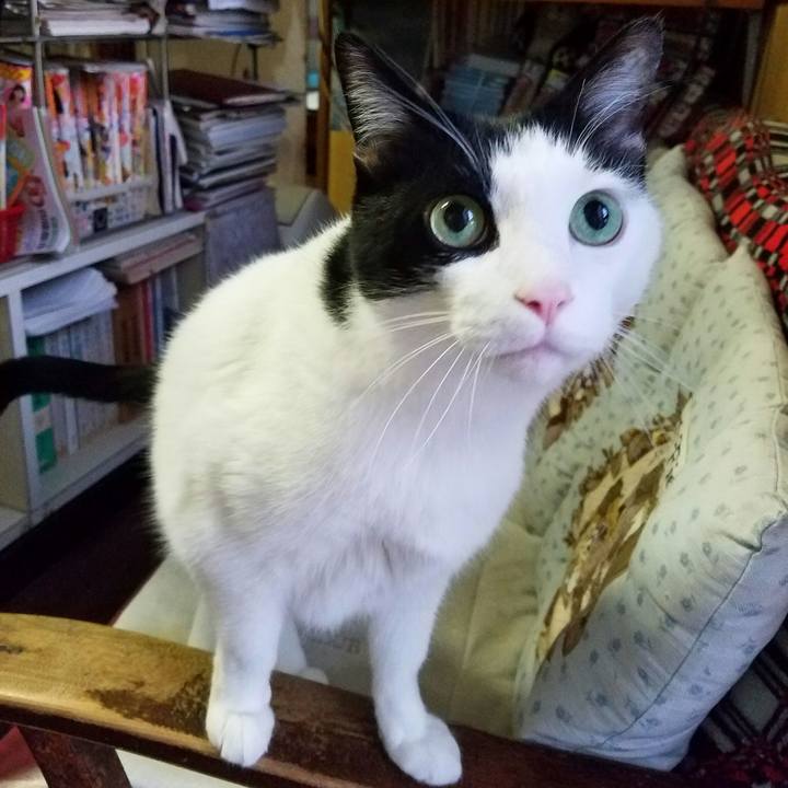 F34116a7 e50a 4c92 b0f2 a20432629965