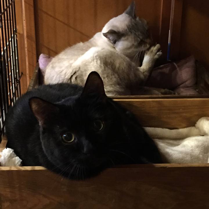 F341652e 9881 461a a3e4 7229f99e23f8