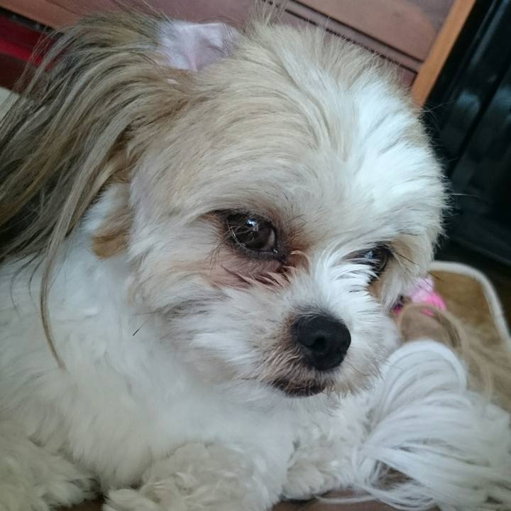 F341bf5f a7c1 4a42 8ba0 9bfb180c5a99