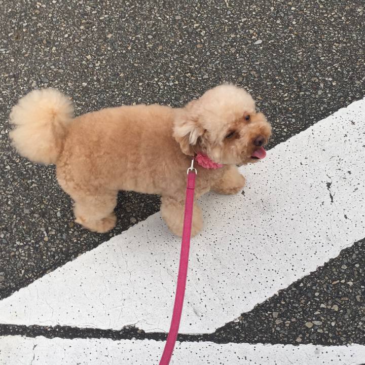 F341c173 5292 47f2 9fc5 5a75f51a54ea