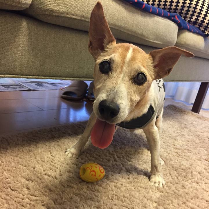 F341d11b 7823 452e 9665 fd2a7cdbcda2