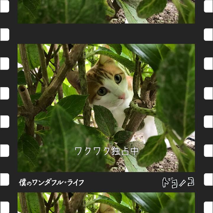 F3420231 ee1b 4b8b aa39 88f7dd019e53