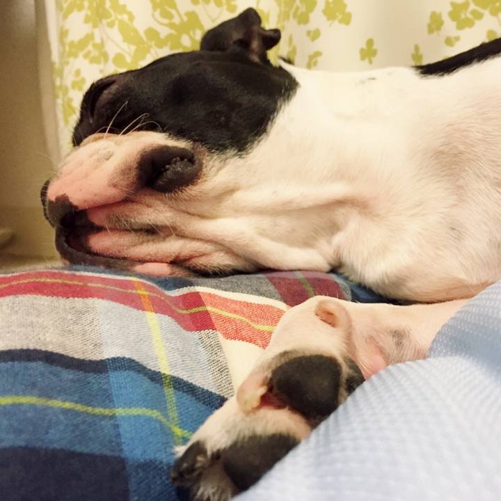 F3422db8 055a 49bb 8da8 6ea525062941