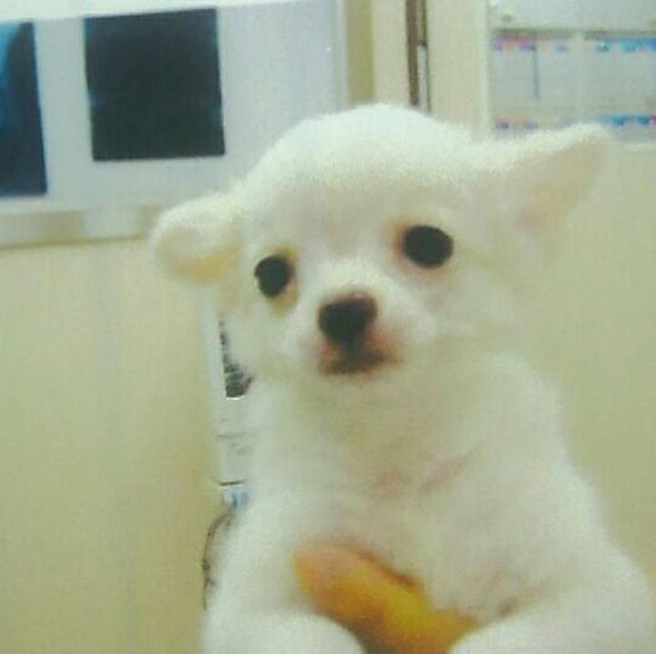 F342608b 60d2 4bcd a76c b32400b0d400