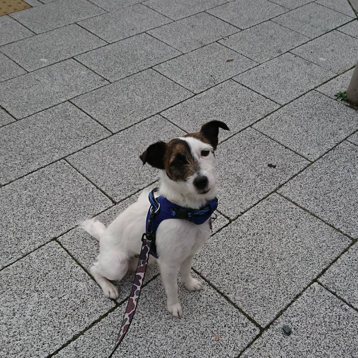 F3429c85 43fe 4e8c 9093 e55ca0d6c347