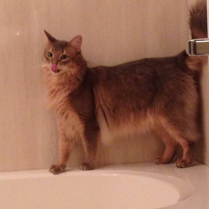 F34352c6 8de1 44bb 8d0f 9d8d8cced608