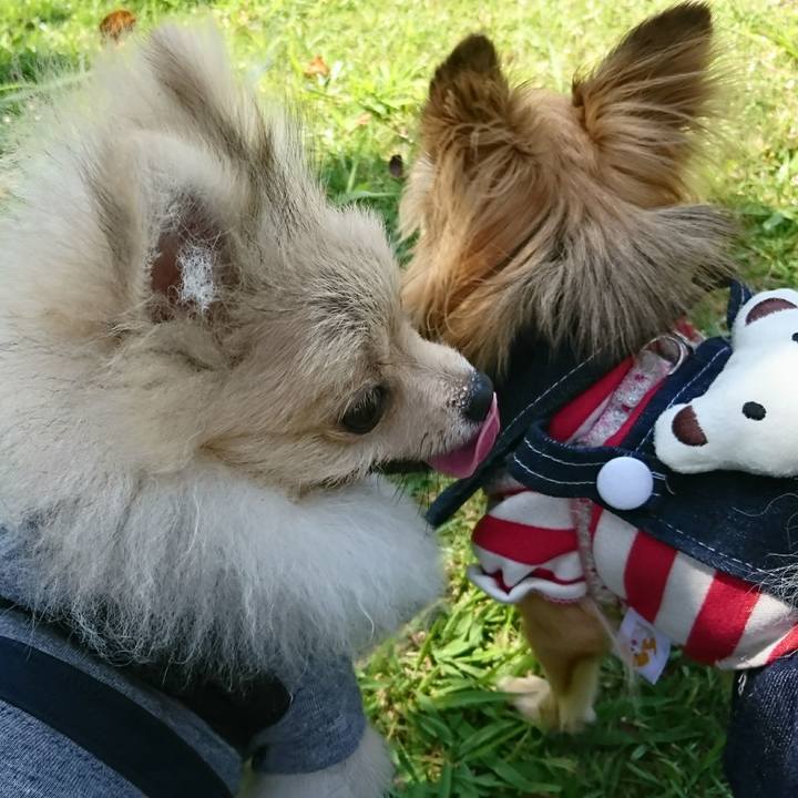 F343f326 39e7 4c90 994b 782689bd0471