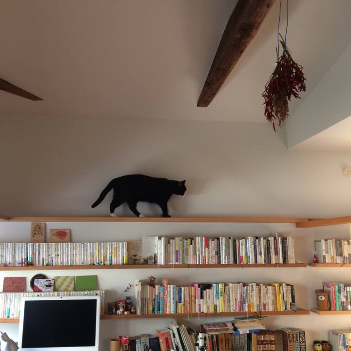 F343f395 ad93 46fa b51c ed6951abc478