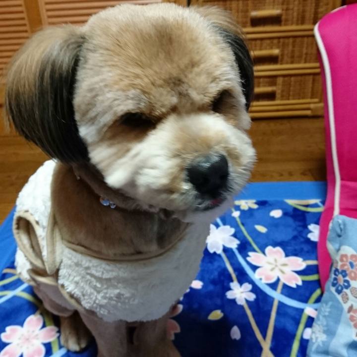 F3447a81 8eea 49ec 888e 78555facf0a0