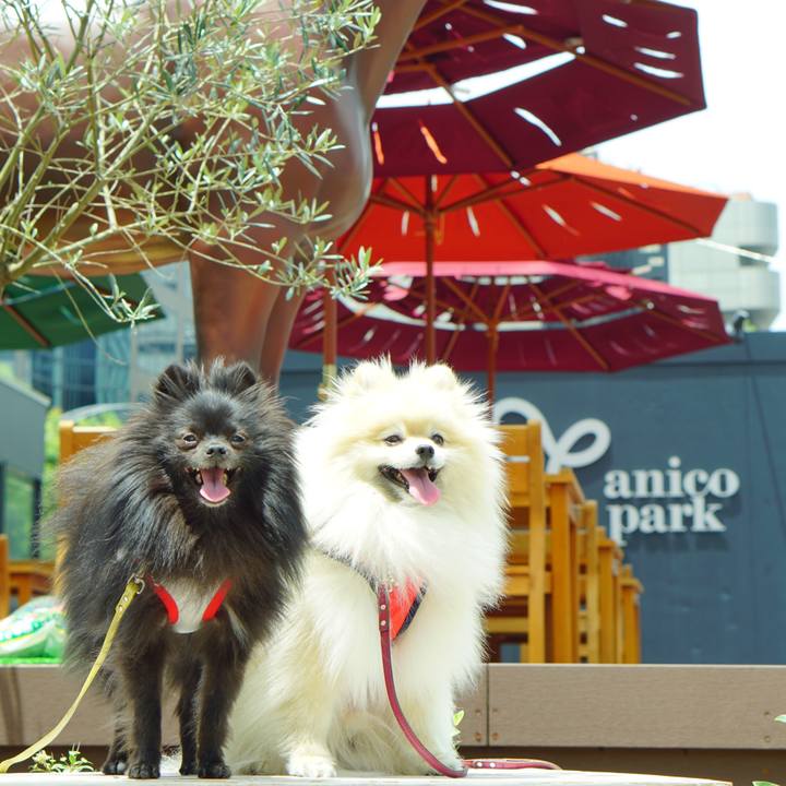 F3448de9 a694 40bc 8075 3a363e7f7373